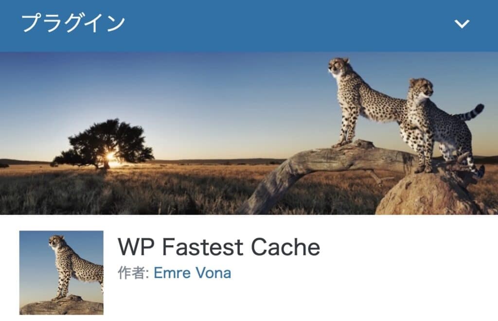 WP fastest cache